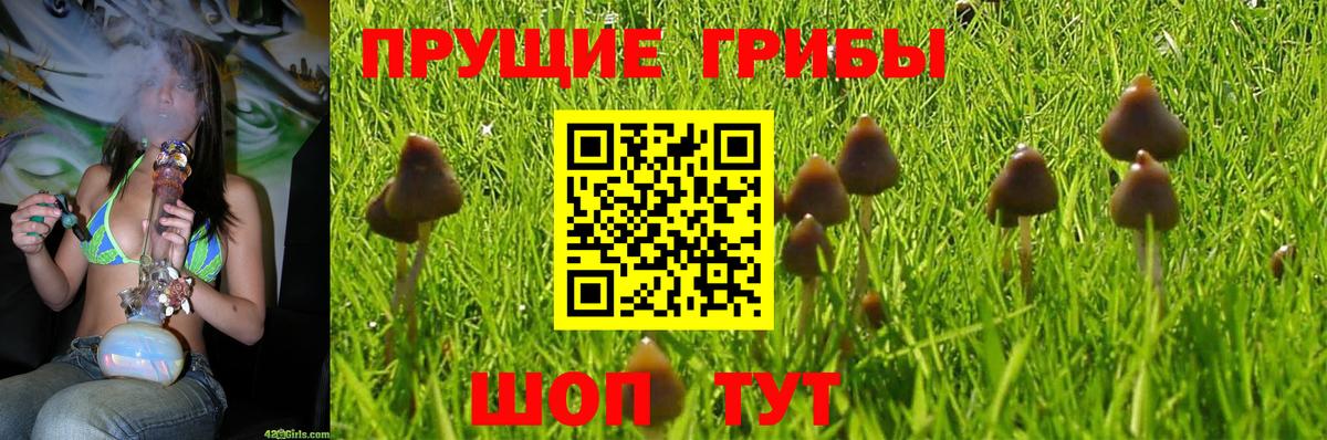 Псилоцибиновые грибы MAGIC MUSHROOMS Мирный